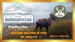 Tahr del Himalaya🐐 4-Fácil Diamante💎(100-111)🏆 #TheHunterCallOfWild🏔️