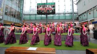 Aloha Heaven　総曲輪グランドプラザ2016＿9＿19②