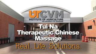 TuiNa Chinese Massage for Horses