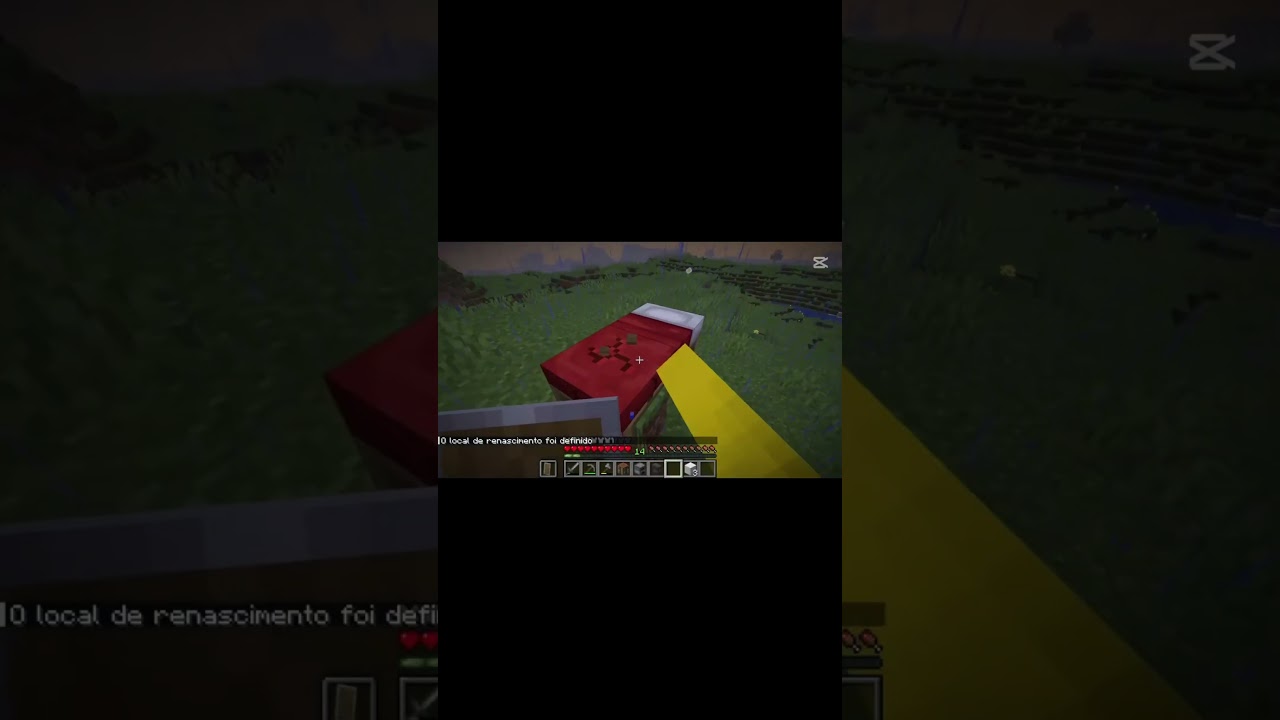 O dorminhoco que só passa a vida a dormir e a roncar que nem um porco 