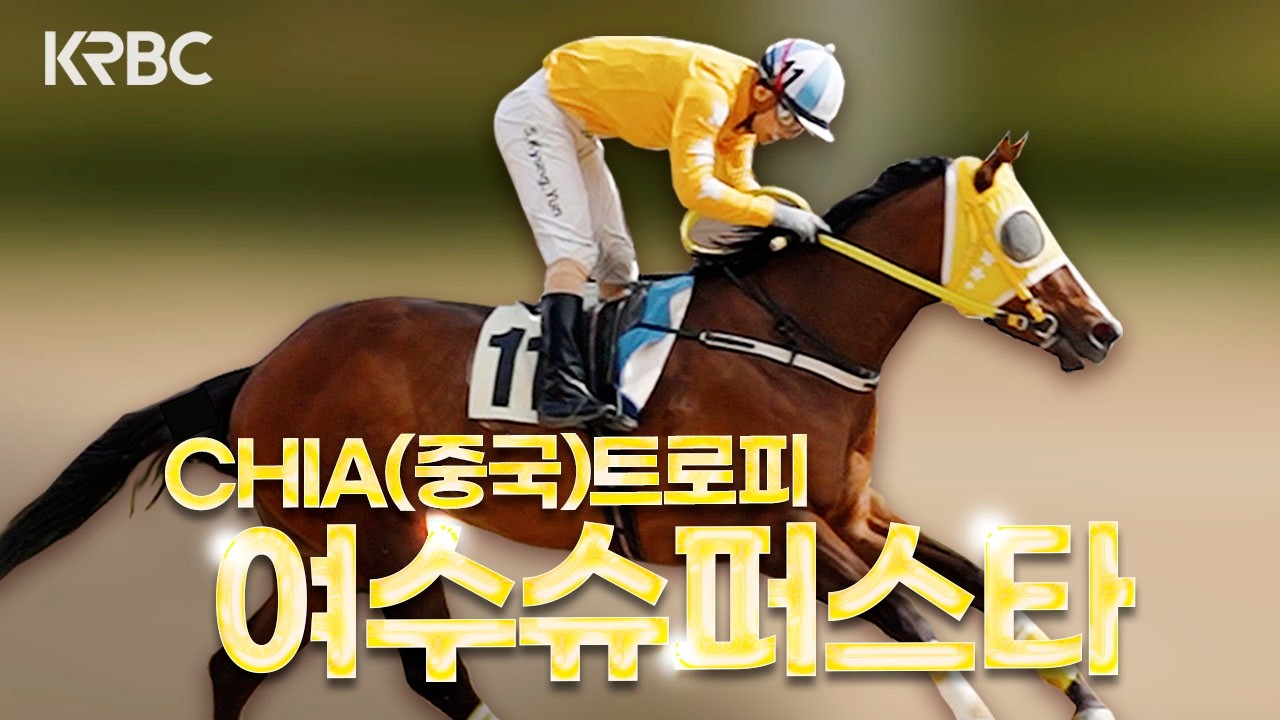 🇨🇳중국마업협회 사무총장이 경마공원에 방문한 이유ㅣCHIA트로피 특별경주 후기
