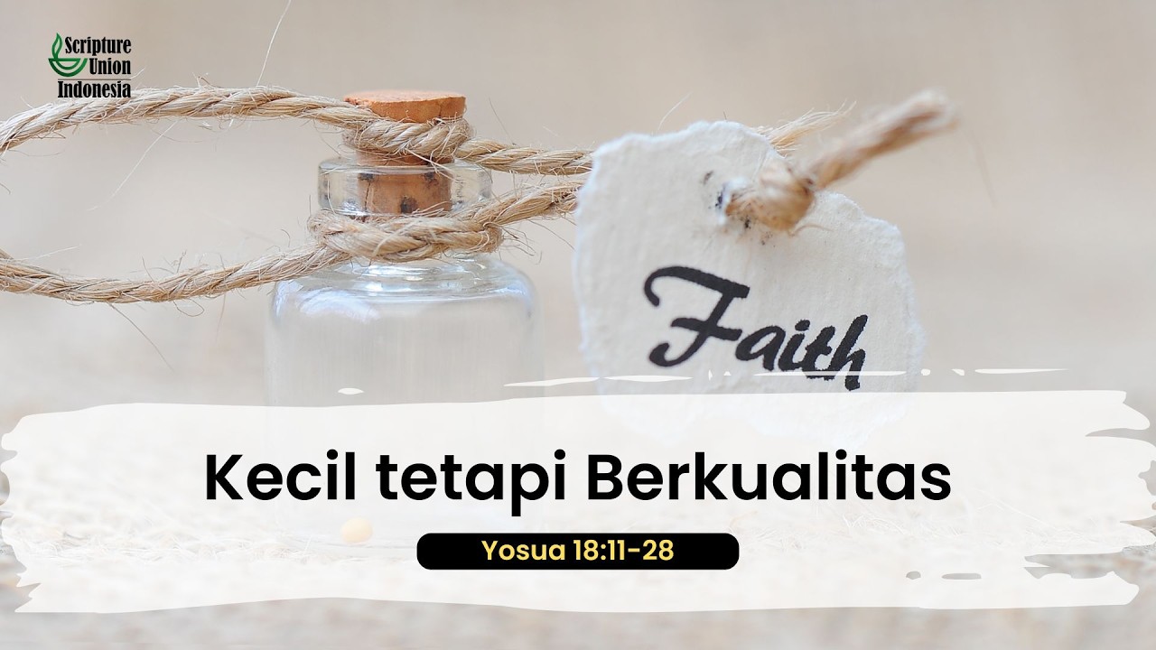 Небольшой, но качественный