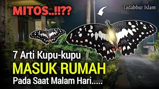 Perhatikan!! 7 Mitos Arti Kupu-kupu Masuk Rumah Malam Hari