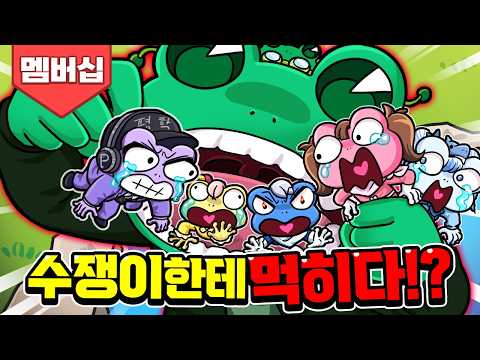 Baek&A Frog Squad Round 2