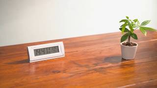 8RZ216SR03　フィットウェーブD216　リズム時計　RHYTHM