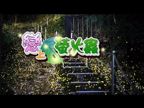 【戀上螢火蟲】螢火蟲夜間飛舞 手機拍美景撇步 八大民生新聞 2021043018