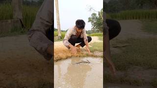 Big fish in the river 🦈 #foryouシ #fish #viral #funnyvideos