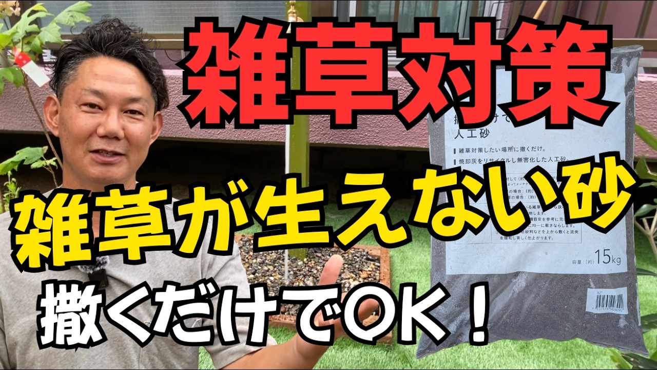 【雑草が生えない砂、使ってみた】本当に雑草は生えない？実際に庭づくりに使ってみた　#庭づくり #ガーデニング #ガーデンデザイン #ぐりんぐりん #雑草対策