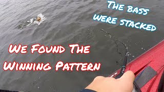 We Found the Winning Fish | Unique Patterns for Big Bass