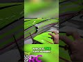 Balancing a RC Plane: Tail Heavy to Perfect! #shorts