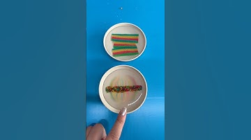 Bạn xem, cầu vồng của tôi đã xuất hiện rồi này . Các bạn thích cầu vòng của ai hơn #funnyvideo