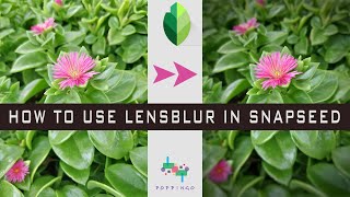 blur background snapseed 9