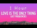 Lost Frequencies Love Is The Only Thing Lyrics 1 Hour mp3