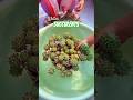 Beginner Succulent Plants: Easy Care Tips to Grow Thriving Succulents | 다육이 | 多肉植物