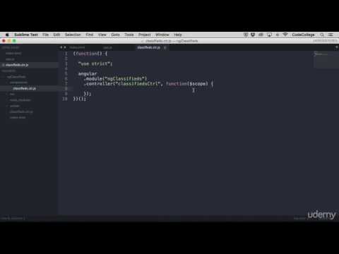 AngularJS What is scope