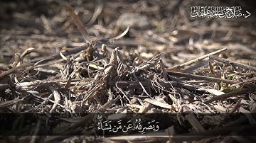 أَلَمْ تَرَ أَنَّ اللَّهَ يُسَبِّحُ لَهُ مَن فِي السَّمَاوَاتِ وَالْأَرْضِ | سورة النور | آية 41