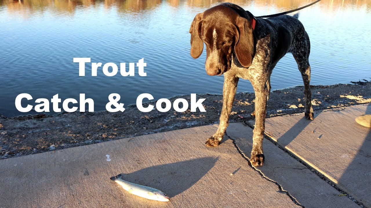 How to Catch and Cook Trout - Fishing Stocked Fish in Local Ponds