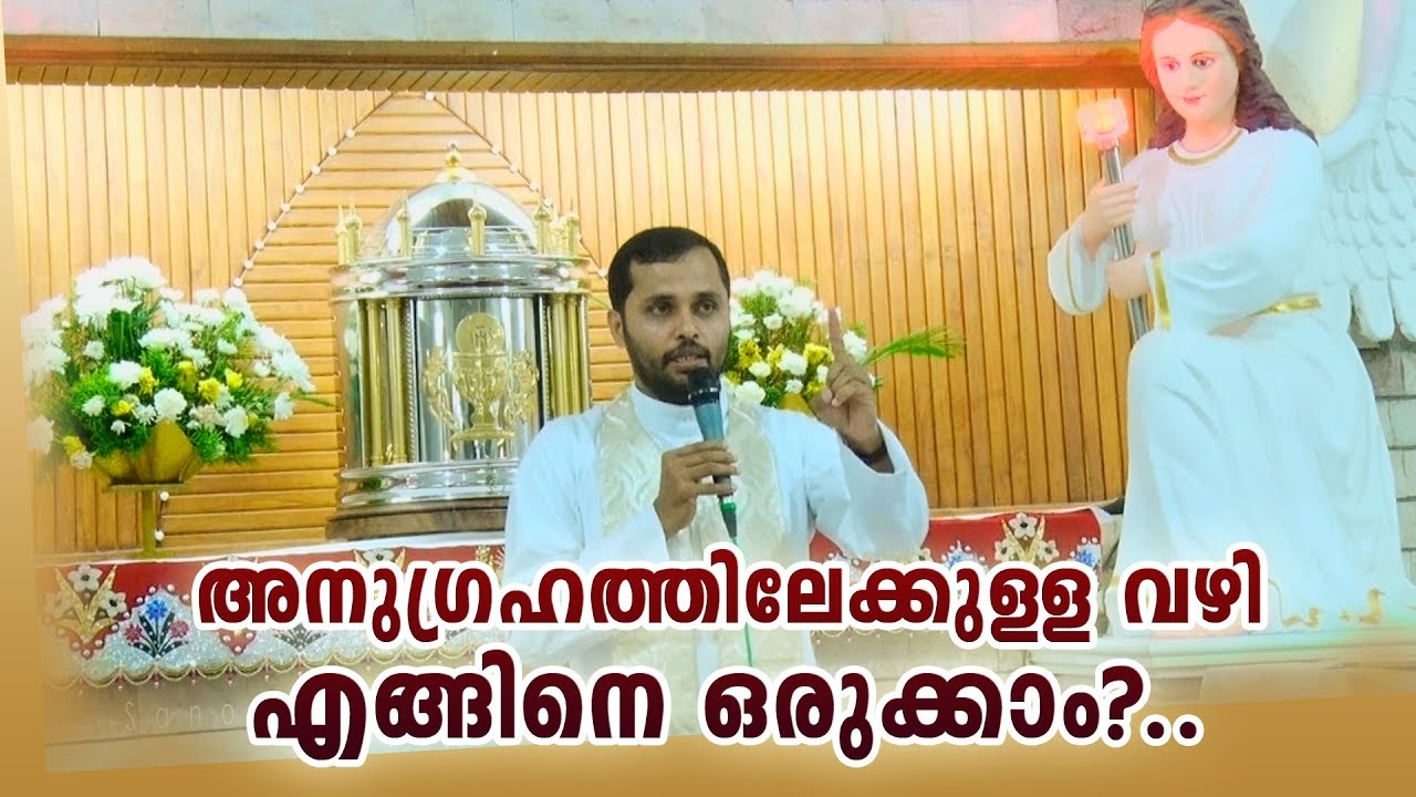 Fr.mathew vayalamannil CST