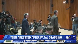 Teen arrested after fatal stabbing