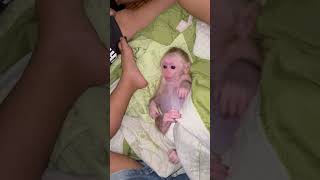 The Baby Is So Adorable.