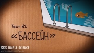 Тест №2: Бассейн. Краш-тест waterproof телефонов