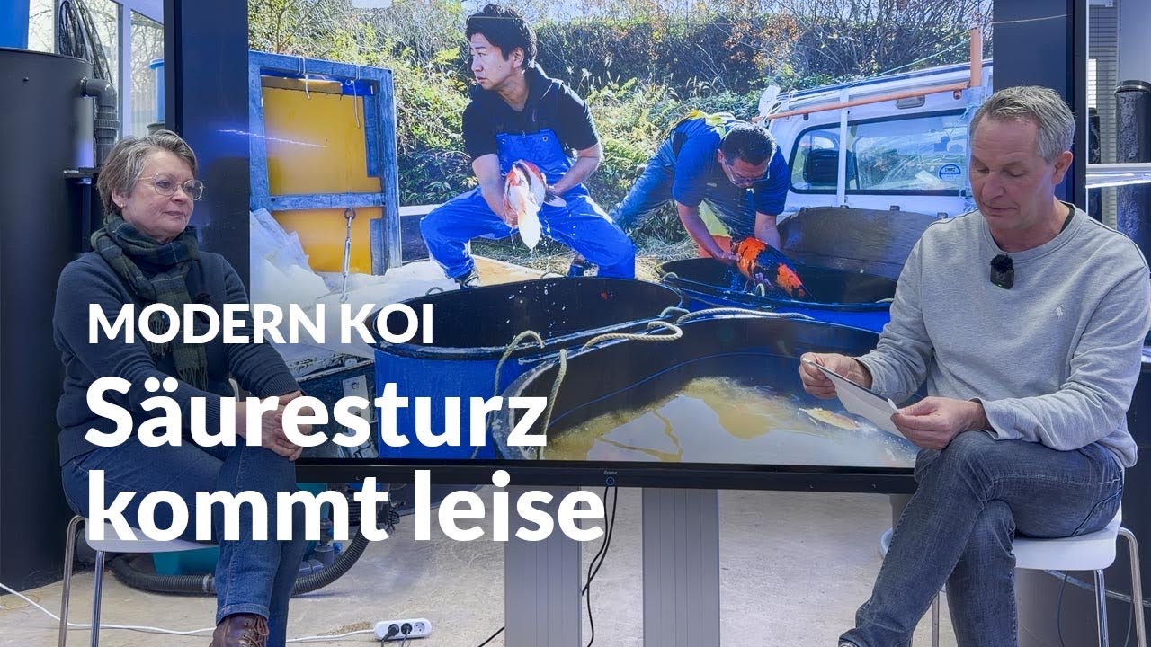 Winter ohne Wasserwechsel: ein gefährlicher Irrtum | Modern Koi Blog #7940