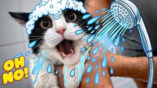 You Don't Have A Single Chance!!