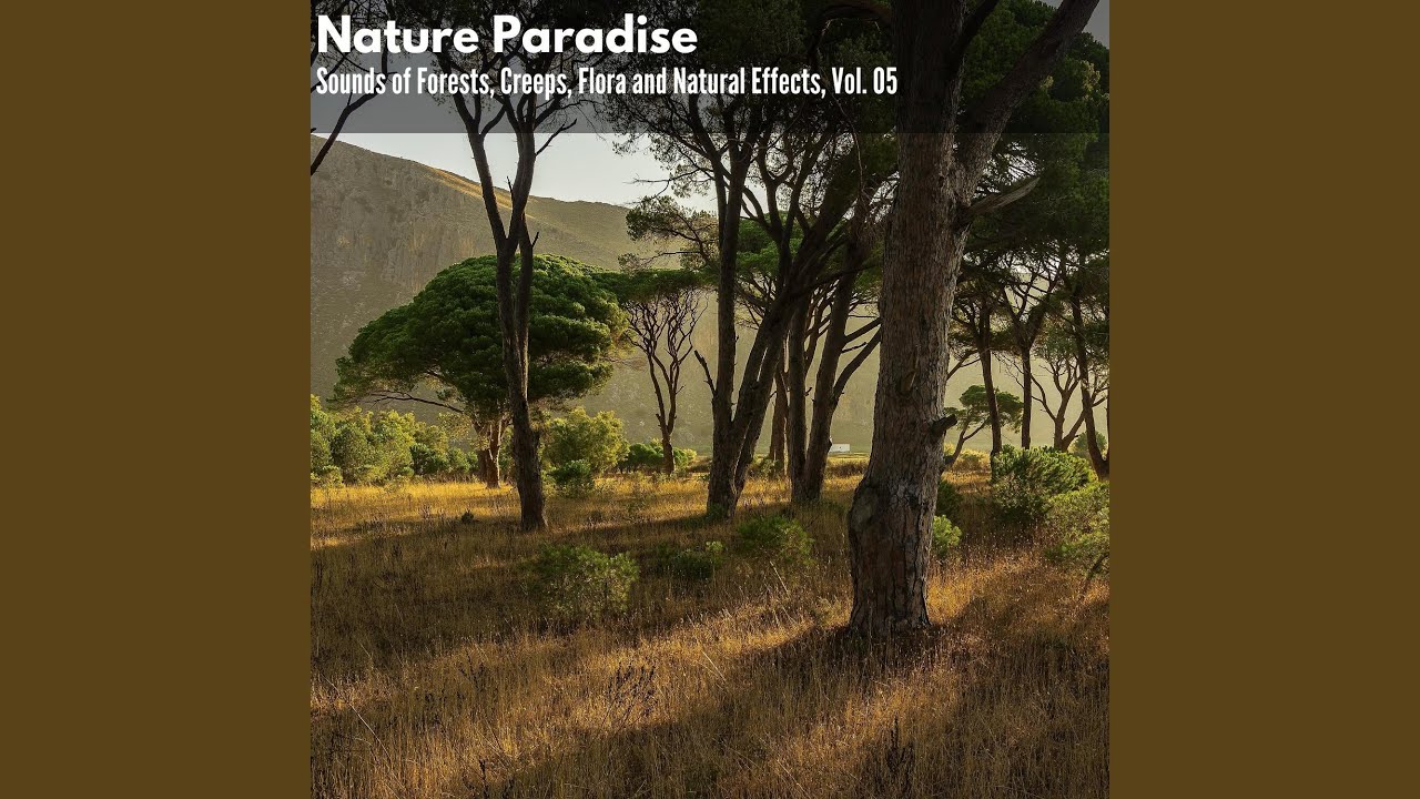 Lovely Distant Waterfall