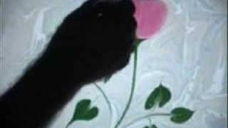 Ey Nebi - Alper Baran Esin (Yazan: Fethullah Gülen)