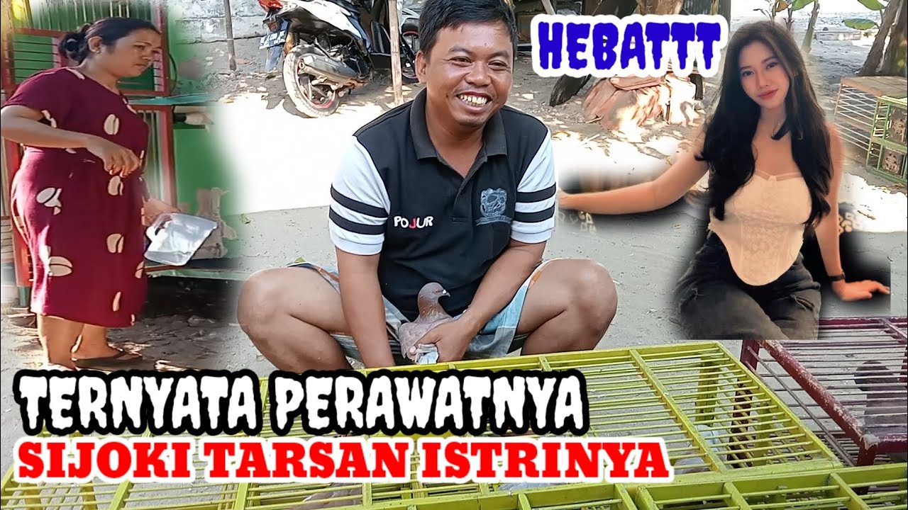 kopdar bareng sijoki Tarsan player terbaru dari bandung semua 11 sep 2024