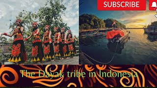 Knowing the Beauty and Richness of Dayak Culture: An Eternal Heritage