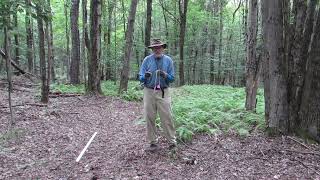 Secrets to Working With Dowsing Rods--With Tips and Exercises