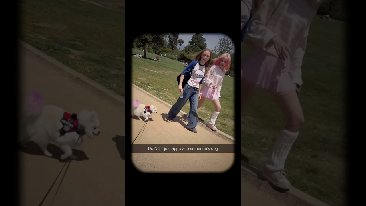 Not the puppy tryna act tough at the end 😂 #hopecore #funny #hopeless