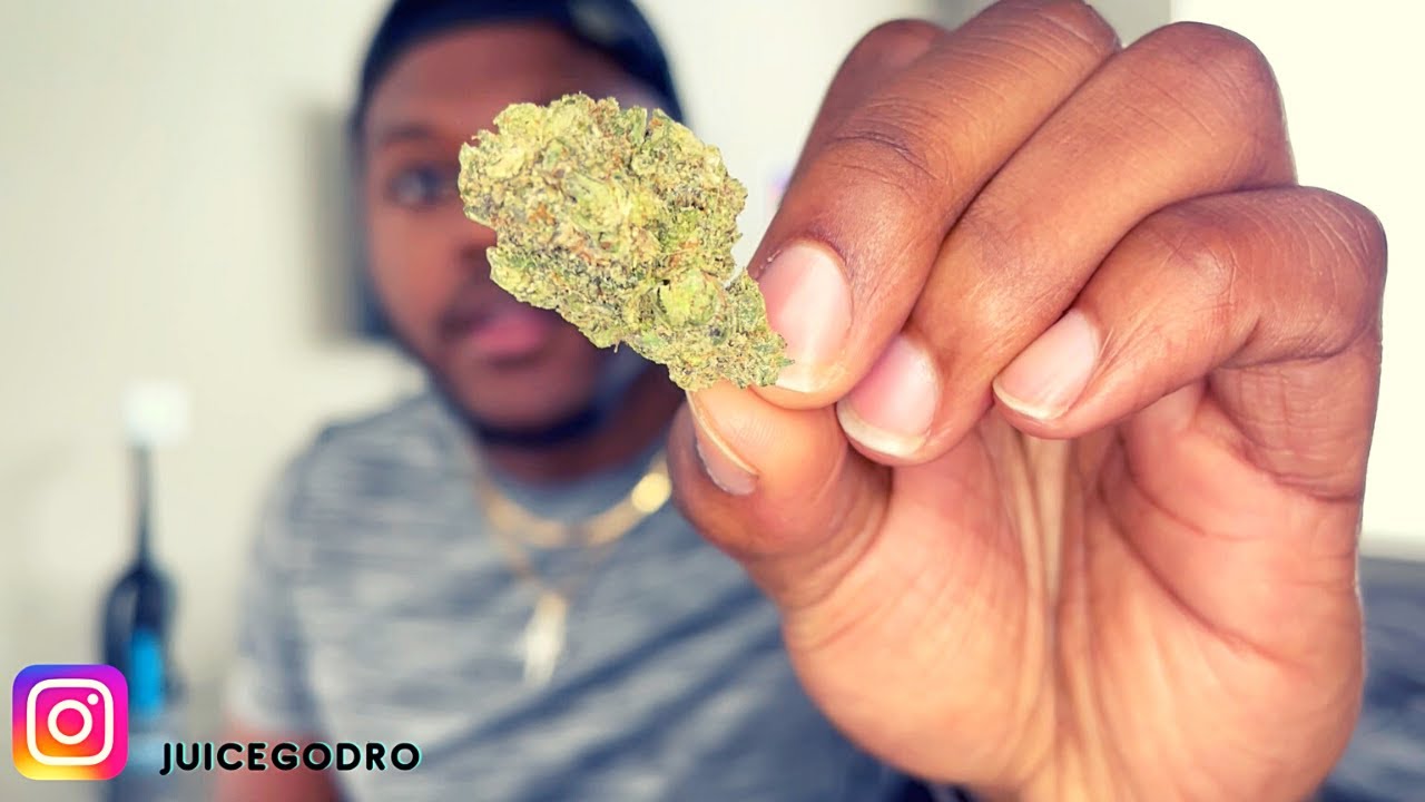 Purple Octane Weed Review | Cyclone Transparent Cone