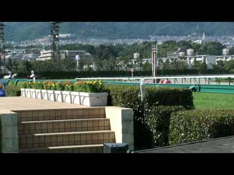 エメラルドミスト2009年9月26日返し馬