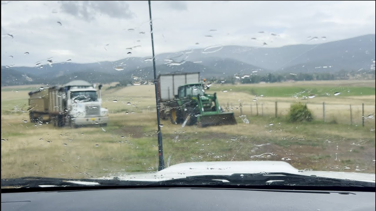 Barley Harvest Race Against Rain!