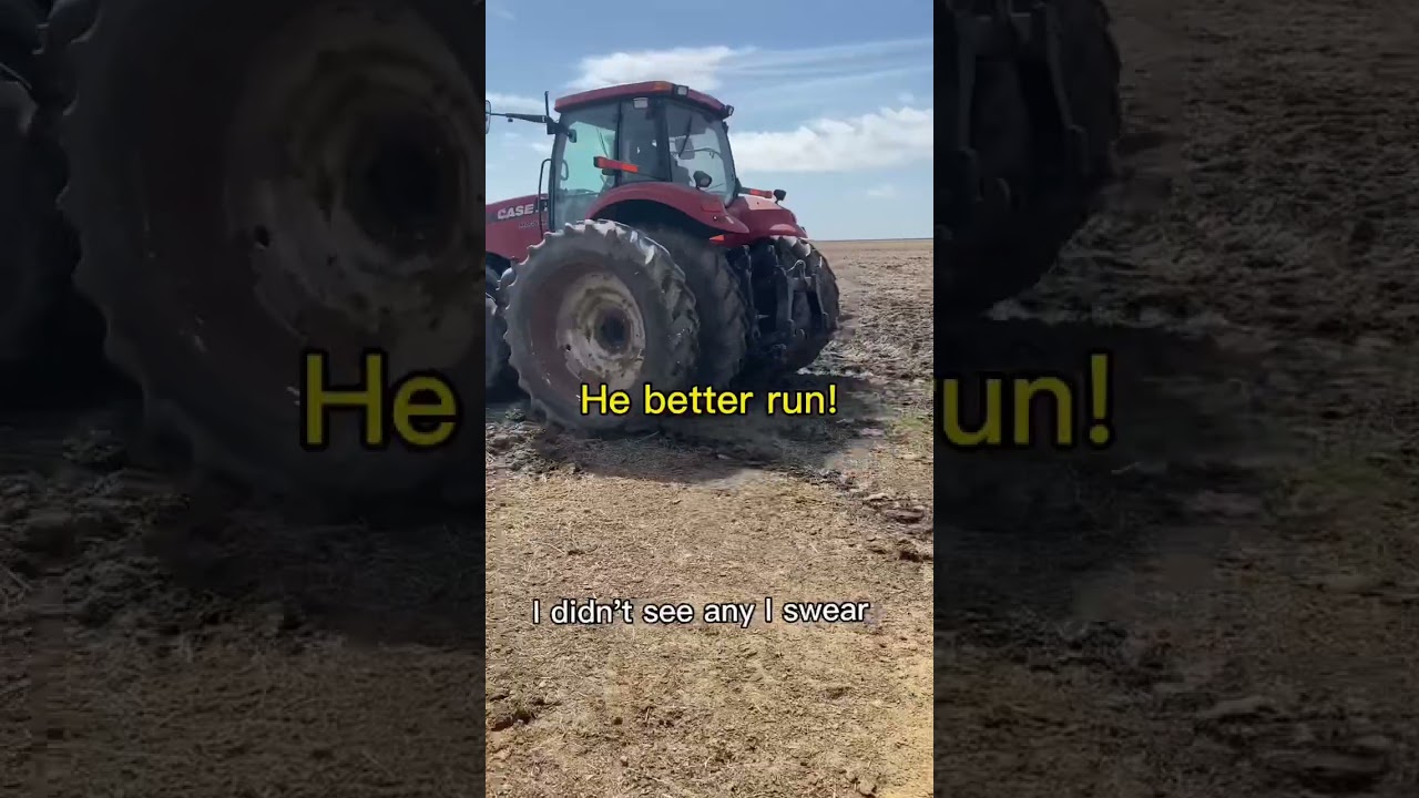 The time the raccoon bite me…