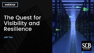 The Quest for Visibility and Resilience