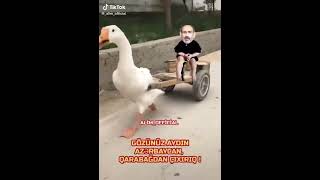 Pasinyan Qarabağ Bi̇zi̇mdi̇r