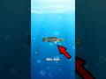 Why you should never release this fish 😲