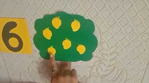 Nur | Introduction to number - 6 | DPS Ruby Park, Kolkata