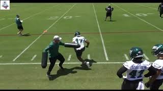 Philadelphia Eagles LB coach DJ Eliot - Block Destruction Drills