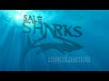 SSSC A Question of Sharks Highlights