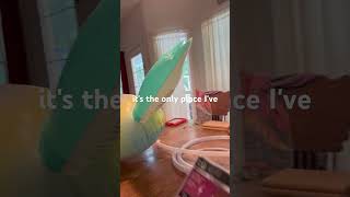 Inflatable Pool Toy Repair #pool