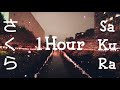 ケツメイシ - さくら | Ketsumeishi - Sakura  [ 1Hour Loop ] | Lyrics