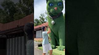 This cat is really alive!#funny #cats#catvideos #tiktok #social  #usafunny#catlovers#funpage