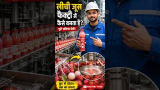 लीची जूस फैक्ट्री में कैसे बनता है? 😱 | Lychee Juice Factory Process | From Fruit to Bottle