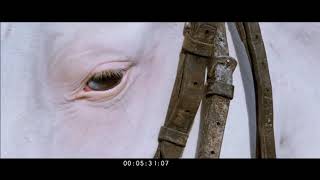 Vajrakaya Movie Horse Riding Secne||Vajrakaya || Shiva Rajkumar || A Harsha screenshot 4