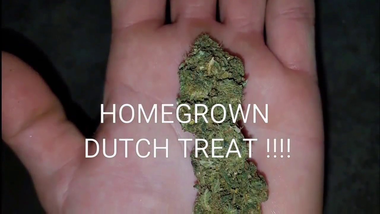 Got some HOME GROWN DUTCH TREAT for Halloween