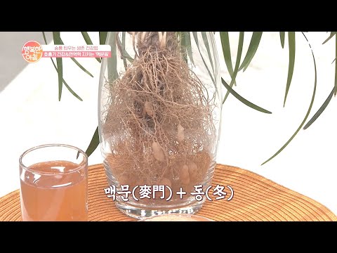 한의원에서 처방하는 &amp;#39;<strong>맥문동</strong>&amp;#39; | 행복한 아침 473 회